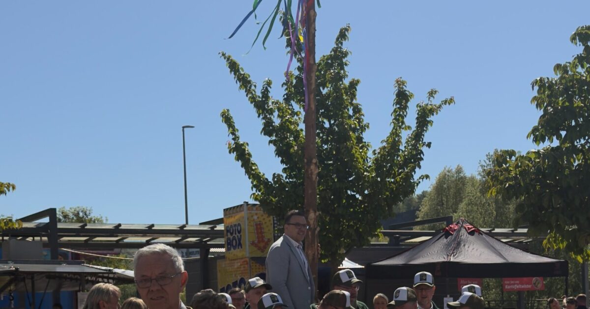 Maibaum Letmathe